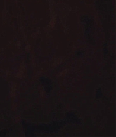adoringteresap_222_caps_0385.jpg