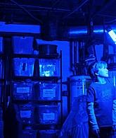 Lights_Out_2016_1080p_ATP_008969.jpg