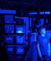Lights_Out_2016_1080p_ATP_008974.jpg