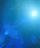 Lights_Out_2016_1080p_ATP_009949.jpg