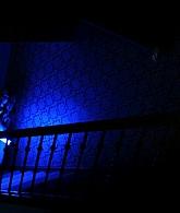 Lights_Out_2016_1080p_ATP_010015.jpg