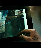 adoringteresap_pointbreak_caps_0919.jpg