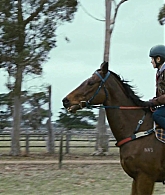 Filename=adoringteresap_ridelikeagirl_caps_0148.jpg
Filesize=200KiB
Dimensions=1920x1024
Date added=Mar 03, 2026 adoringteresap_ridelikeagirl_caps_0148.jpg