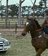 Filename=adoringteresap_ridelikeagirl_caps_0152.jpg
Filesize=223KiB
Dimensions=1920x1024
Date added=Mar 03, 2026 adoringteresap_ridelikeagirl_caps_0152.jpg