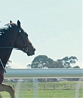 adoringteresap_ridelikeagirl_caps_0534.jpg