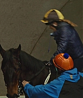 adoringteresap_ridelikeagirl_caps_1323.jpg