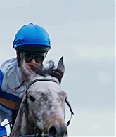 adoringteresap_ridelikeagirl_caps_2370.jpg