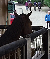 Filename=adoringteresap_ridelikeagirl_caps_2811.jpg
Filesize=209KiB
Dimensions=1920x1024
Date added=Mar 03, 2026 adoringteresap_ridelikeagirl_caps_2811.jpg