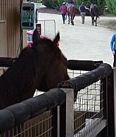 Filename=adoringteresap_ridelikeagirl_caps_2812.jpg
Filesize=205KiB
Dimensions=1920x1024
Date added=Mar 03, 2026 adoringteresap_ridelikeagirl_caps_2812.jpg