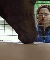 Filename=adoringteresap_ridelikeagirl_caps_2822.jpg
Filesize=117KiB
Dimensions=1920x1024
Date added=Mar 03, 2026 adoringteresap_ridelikeagirl_caps_2822.jpg
