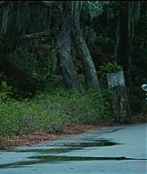Filename=thechoice2710.jpg
Filesize=373KiB
Dimensions=1920x800
Date added=Dec 05, 2025 thechoice2710.jpg