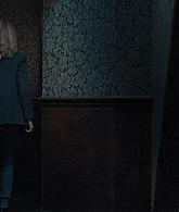 A_Discovery_of_Witches_S01E02_1080p_ATP_4670.jpg