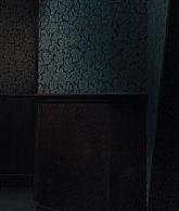 A_Discovery_of_Witches_S01E02_1080p_ATP_4691.jpg