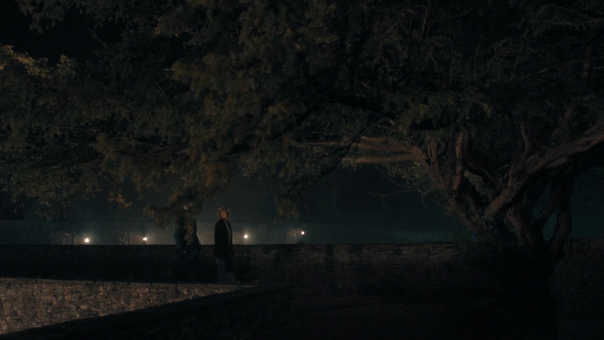 A_Discovery_of_Witches_S01E04_1080p_ATP_4496.jpg