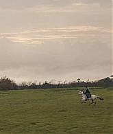 A_Discovery_of_Witches_S01E04_1080p_ATP_2258.jpg