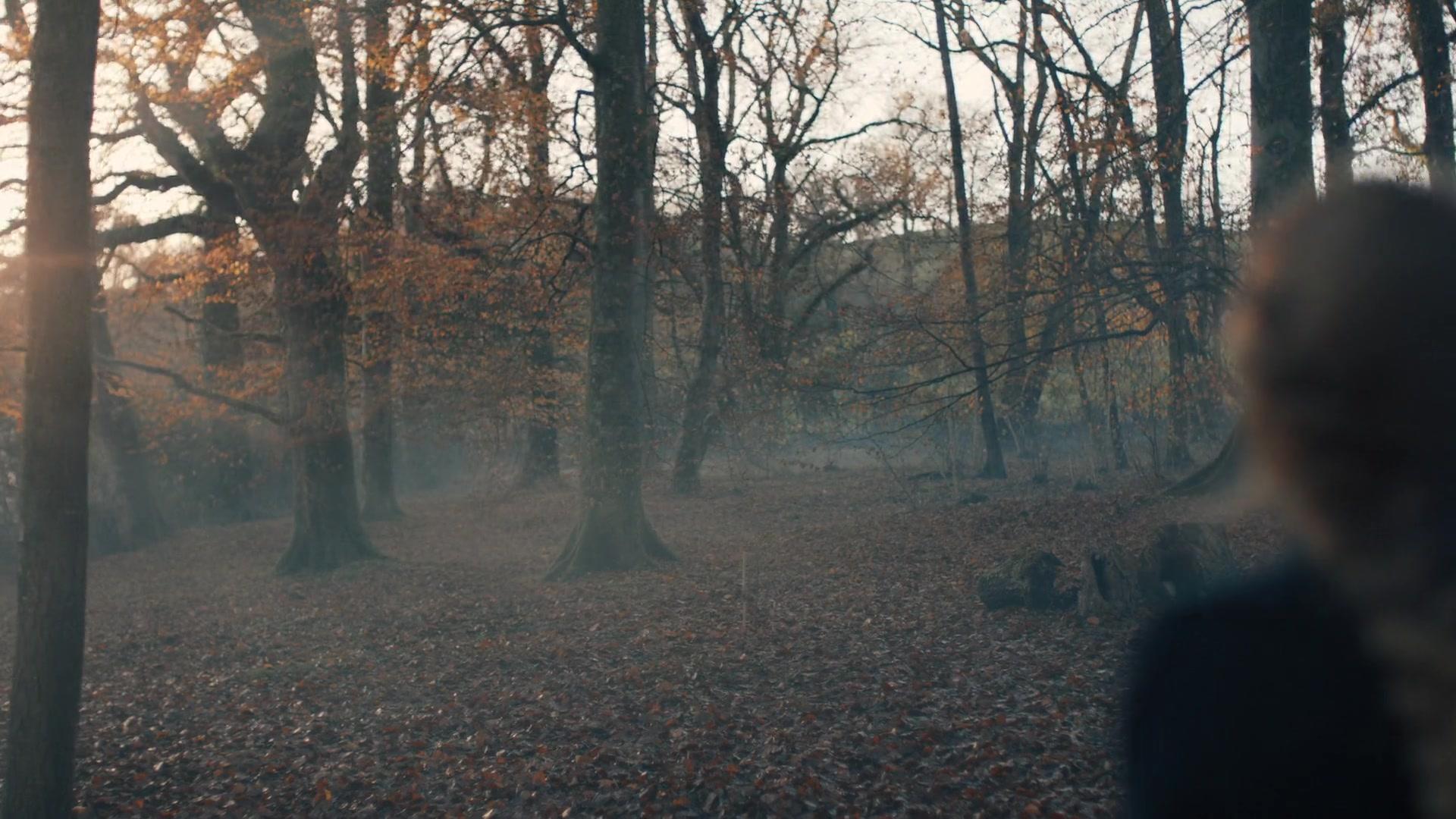 A_Discovery_of_Witches_S01E05_1080p_ATP_0950.jpg