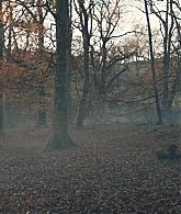 A_Discovery_of_Witches_S01E05_1080p_ATP_0950.jpg
