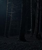 A_Discovery_of_Witches_S01E07_1080p_ATP_4649.jpg