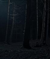A_Discovery_of_Witches_S01E07_1080p_ATP_4650.jpg