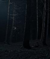 A_Discovery_of_Witches_S01E07_1080p_ATP_4651.jpg