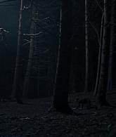 A_Discovery_of_Witches_S01E07_1080p_ATP_4655.jpg