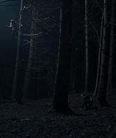 A_Discovery_of_Witches_S01E07_1080p_ATP_4657.jpg