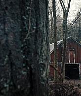 A_Discovery_of_Witches_S01E07_1080p_ATP_6131.jpg