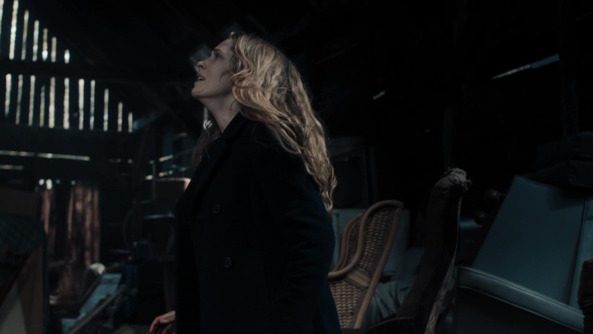 A_Discovery_of_Witches_S01E08_1080p_ATP_0545.jpg