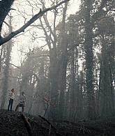 Filename=A_Discovery_of_Witches_S01E08_1080p_ATP_2410.jpg
Filesize=306KiB
Dimensions=1920x1080
Date added=Feb 17, 2025 A_Discovery_of_Witches_S01E08_1080p_ATP_2410.jpg