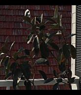 Mix_Tape_2025_S01E01_1080p_002694.jpg