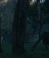 The_Clearing_2023_S01E01_The_Season_of_Unfoldment_1080p_ATP_6355.jpg