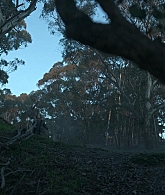 The_Clearing_2023_S01E01_The_Season_of_Unfoldment_1080p_ATP_6396.jpg