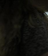 The_Clearing_S01E03_1080p_ATP_0235.jpg