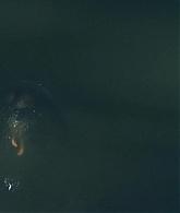 The_Clearing_2023_S01E06_The_Pied_Piper_1080p__4555.jpg