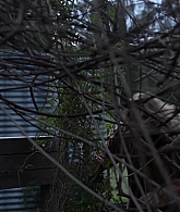 adoringteresap_theclearing_1x08_caps_0573.jpg