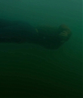 adoringteresap_theclearing_1x08_caps_0944.jpg