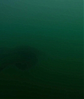 adoringteresap_theclearing_1x08_caps_0947.jpg