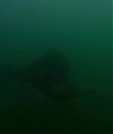 adoringteresap_theclearing_1x08_caps_0949.jpg