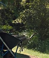 The_Last_Anniversary_2025_S01E02_1080p_ATP_001448.jpg