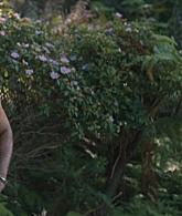 The_Last_Anniversary_2025_S01E02_1080p_ATP_001711.jpg