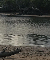 adoringteresap_thelastanniversary_1x06_caps_0182.jpg